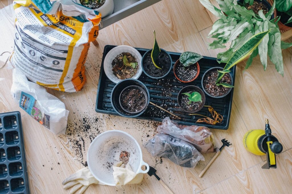 Tipps für den Garten