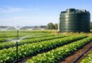 Wie moderne Bewässerungssysteme Erträge in der Landwirtschaft revolutionieren